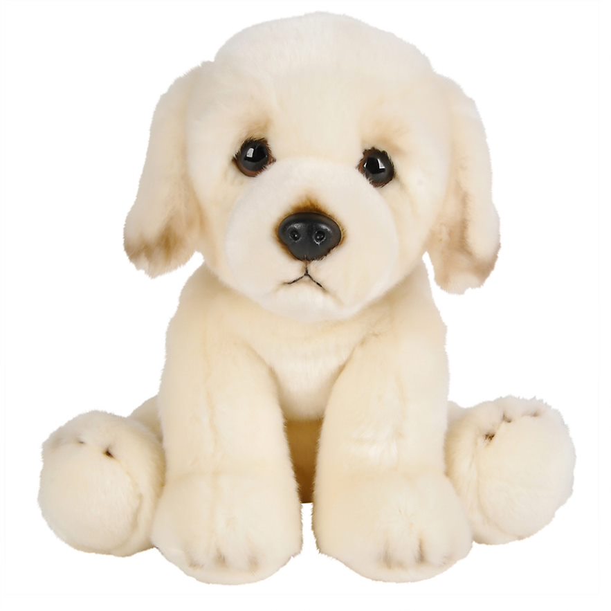 White, Fluffy, Adorable, Plush 12 inch Golden Retriever Puppy - Super Cuddly - Great Gift Idea for Anyone- Perfect for Animal Lovers of All Ages - Ages 3+