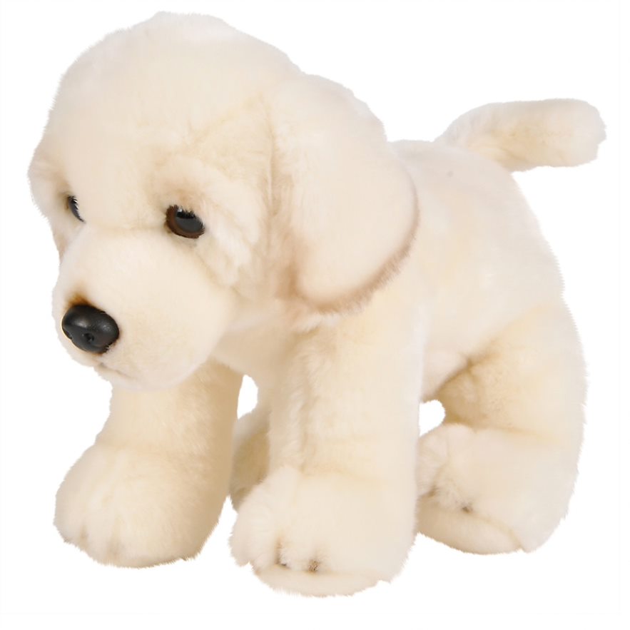 White, Fluffy, Adorable, Plush 12 inch Golden Retriever Puppy - Super Cuddly - Great Gift Idea for Anyone- Perfect for Animal Lovers of All Ages - Ages 3+